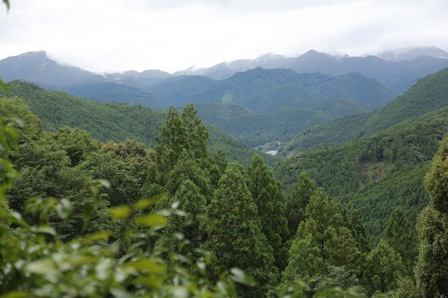 画像: 伏拝王子から熊野本宮大社方向を見下ろします。ゴール地点までもう少し
