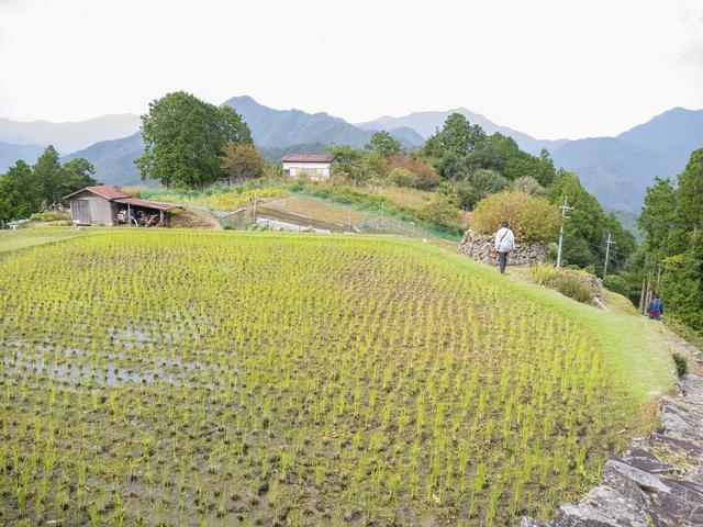 画像: 天空の郷の名にふさわしい果無集落の景色