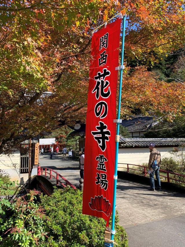 画像: 各寺院の門前には「関西 花の寺」を示す幟が