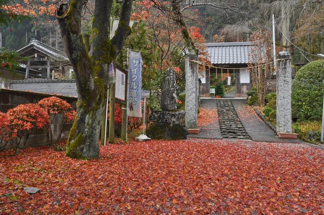 画像: 大渕寺の紅葉のじゅうたんと、立派な山門。山門の頭上には、旅仲間があっと驚く発見がありました