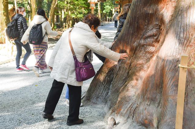 画像: 荒祭宮への参道に立つ神宮杉に手をかざす旅仲間