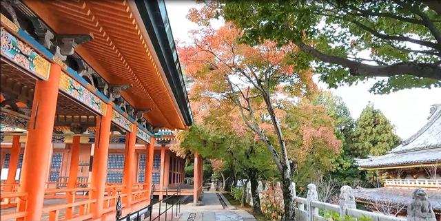 画像: 耕三寺境内@salt