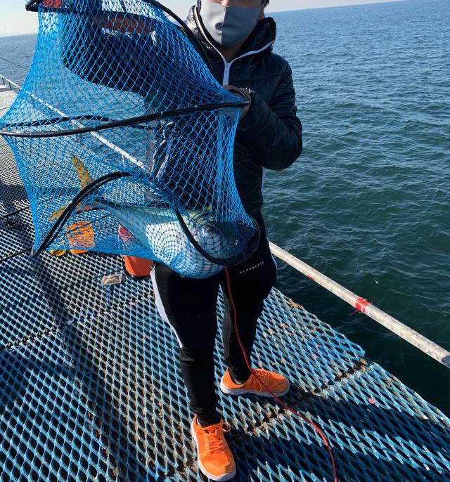 画像3: わたしの釣果は、コハダ2匹!