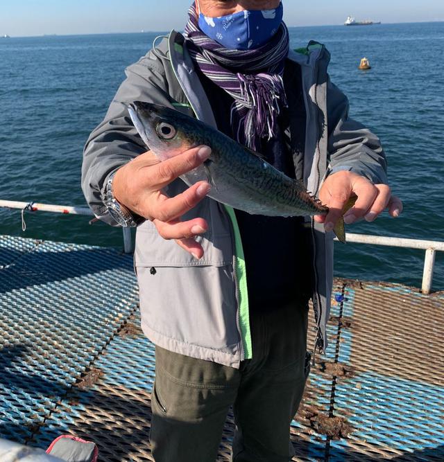 画像2: わたしの釣果は、コハダ2匹!