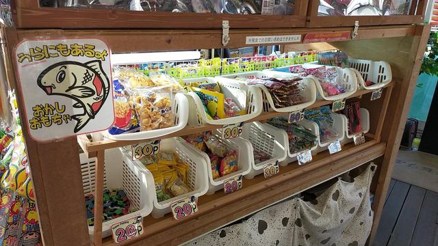 画像: 釣り堀の魅力