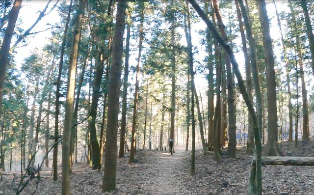 画像2: 平野方面からの下山