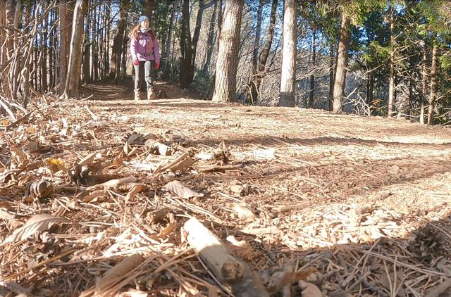 画像1: 平野方面からの下山