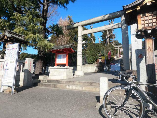 画像: 沼袋氷川神社@IGA撮影 hikawa-n.or.jp
