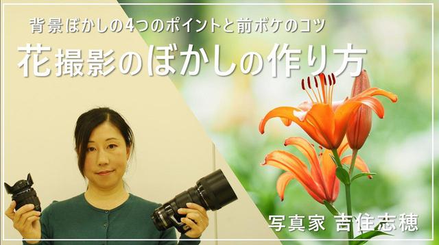 画像: 背景ぼかしの4つのポイント・前ボケのコツ youtu.be