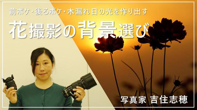 画像: 花が引き立つ背景選び youtu.be