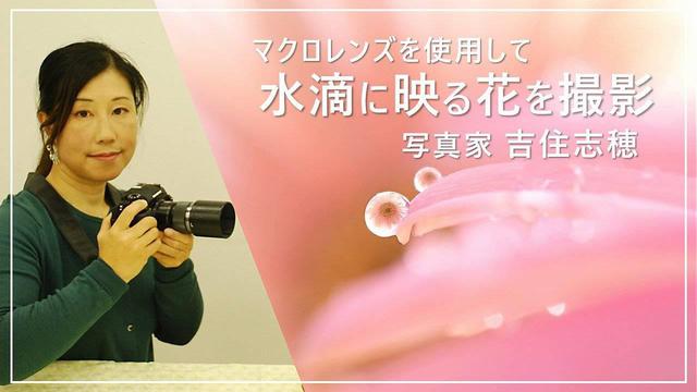 画像: 水滴に映るすてきな世界をマクロレンズで撮影してみよう www.youtube.com