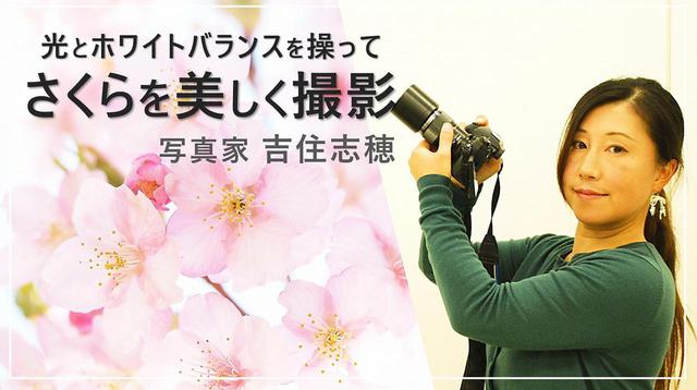 画像: 光とホワイトバランスを操ってさくらを美しく撮影 youtu.be