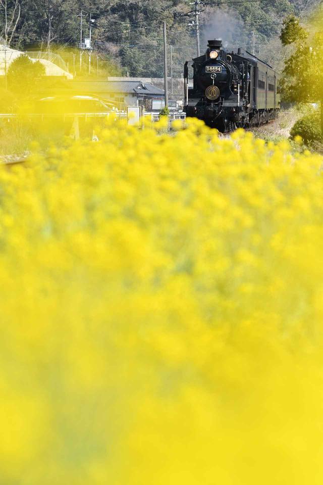 画像2: ©Hiromi Ito