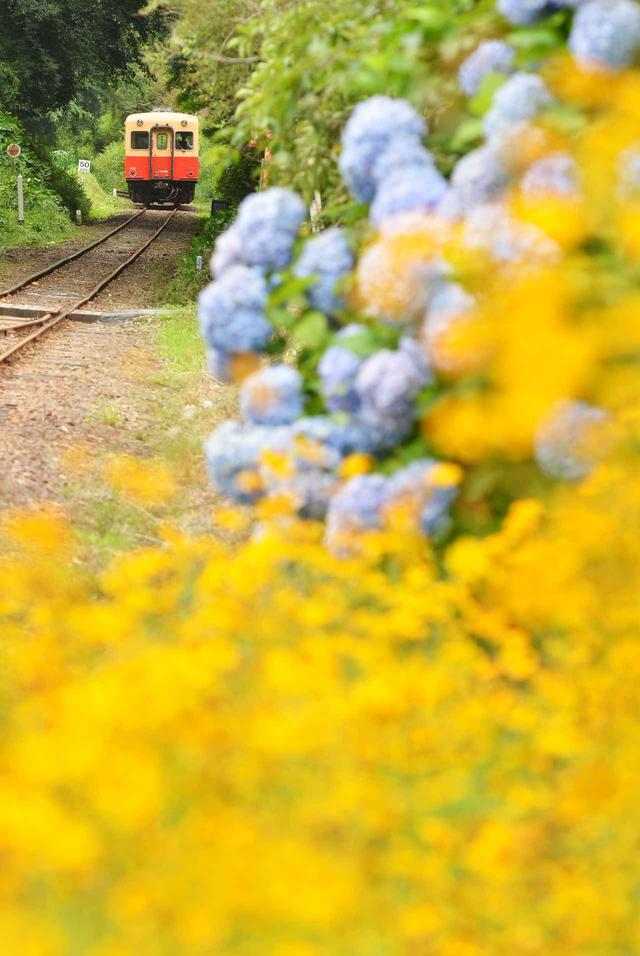 画像: ©Hiromi Ito 完成写真