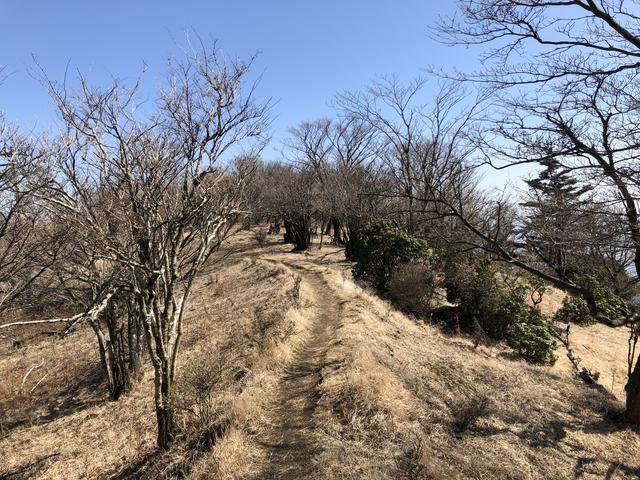 画像: 気持ちの良い尾根