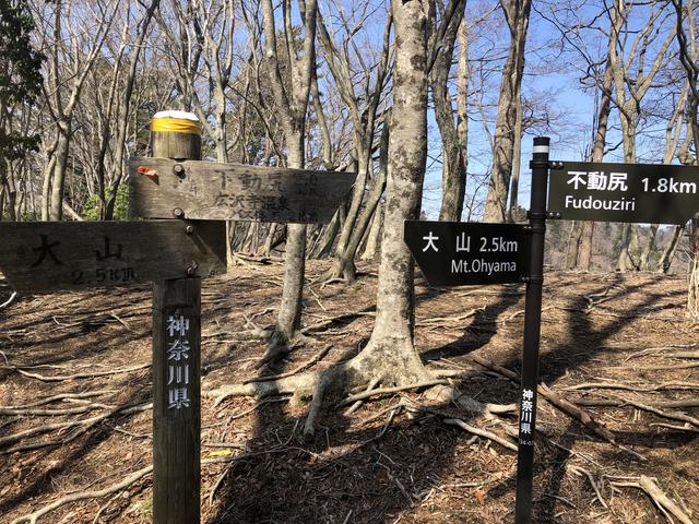 画像: 標識は分岐分岐にあります