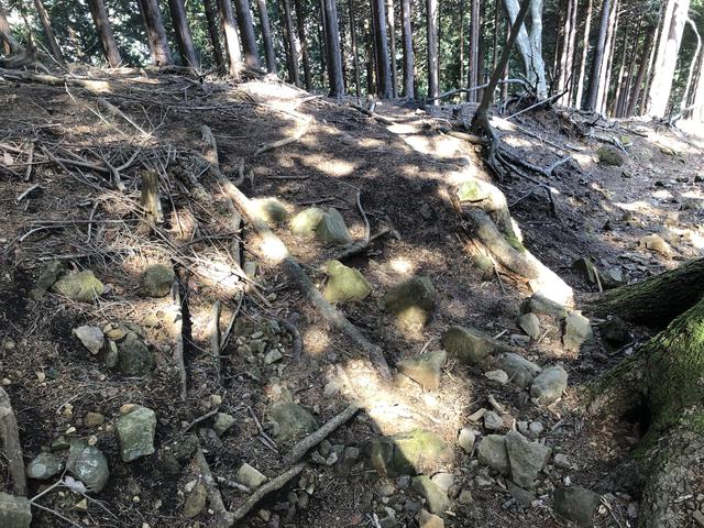 画像: 下りの登山道一例