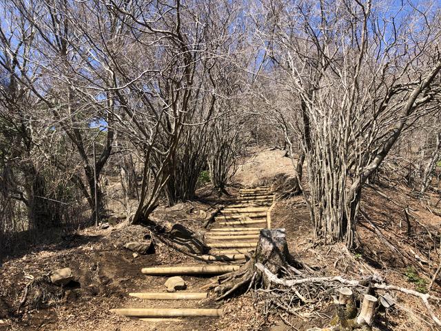 画像: 雷ノ峰尾根道中