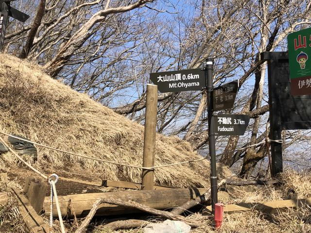 画像: 大山分岐