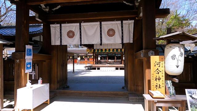 画像: 河合神社@salt