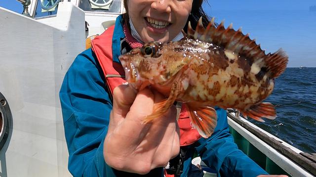 画像: 大きなカサゴも釣れました。