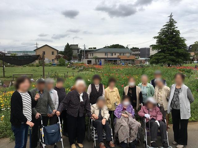 画像4: ポピー・つつじの鑑賞外出