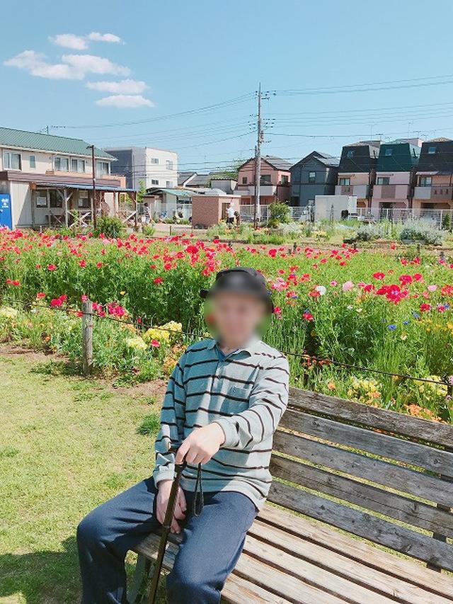 画像7: ポピー・つつじの鑑賞外出