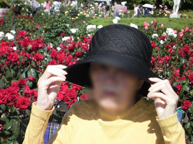 画像3: 神代植物園「春のバラフェスタ」