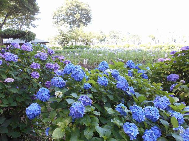 画像: 「ねぇ、写真撮ってよ~!」仲良しに楽しくお食事していました。