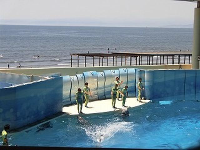 画像4: まごころ倶楽部 阿佐ヶ谷 春の日帰り旅行に行ってきました