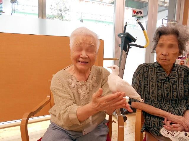 画像11: 高井戸夏祭り