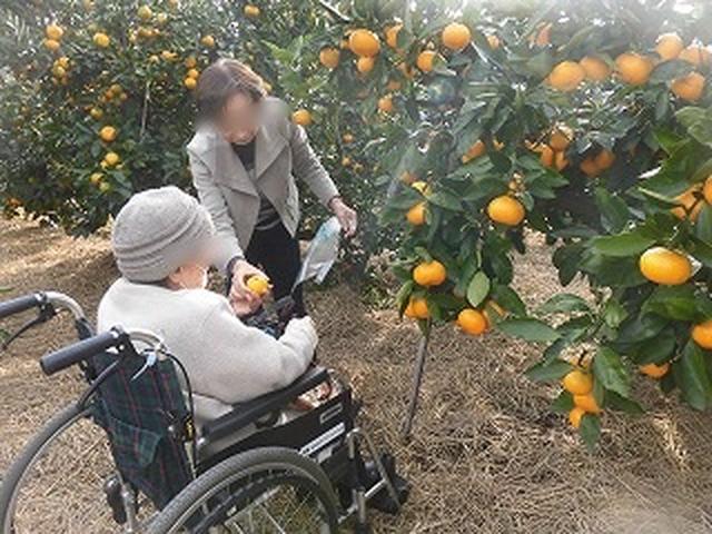 画像2: 【まごころ倶楽部 阿佐ヶ谷2018】秋の日帰りバス旅行とハロウィンパーティ