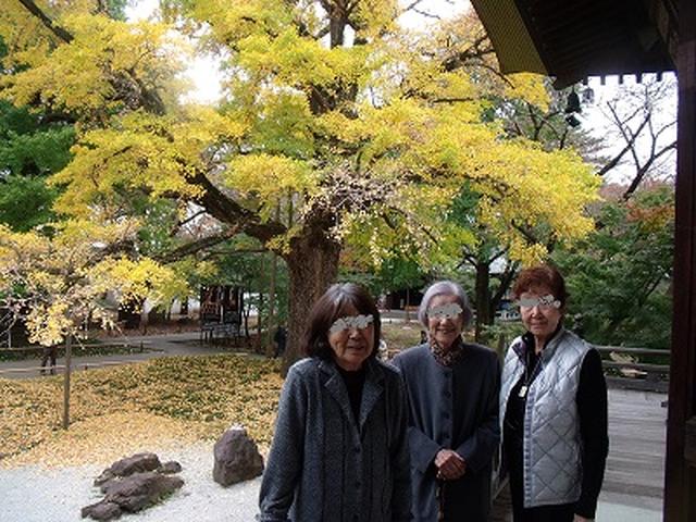 画像3: 紅葉狩りへ! 九品仏&豪徳寺