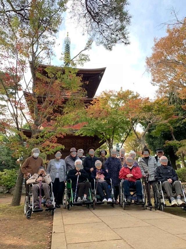 画像2: 紅葉狩りへ! 九品仏&豪徳寺