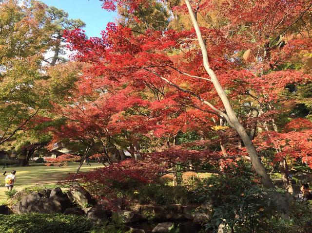 画像1: 大田黒公園と荻窪ルミネ