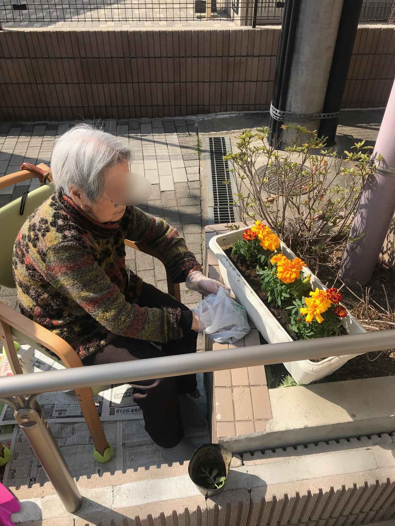 もうすぐ春爛漫 クラブログ ~スタッフブログ~|クラブツーリズム