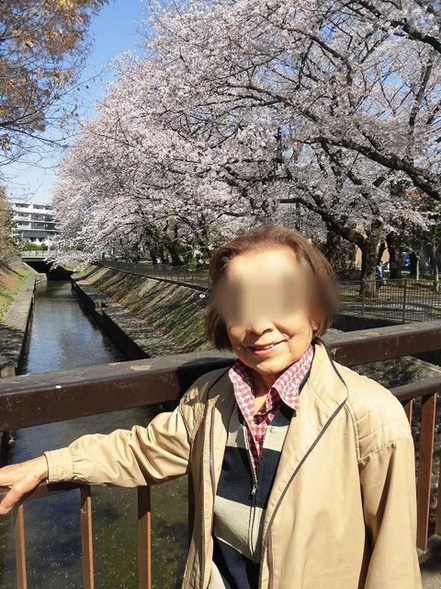 画像2: 【まごころ倶楽部 阿佐ヶ谷2019】善福寺川 桜のお花見