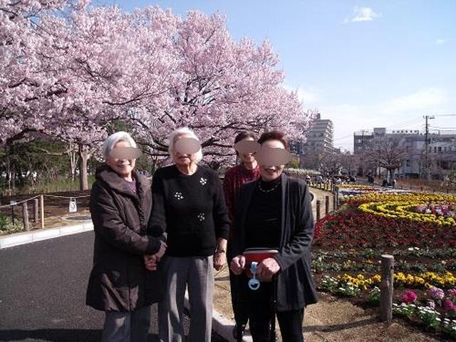 画像2: お花見に行きました