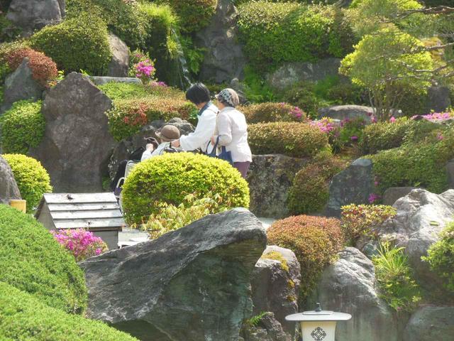 画像5: まごころ倶楽部高井戸 春の日帰り旅行 鐘山苑編