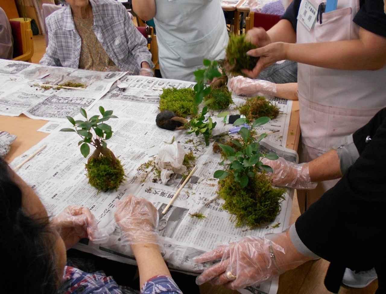 画像1: 苔玉作り