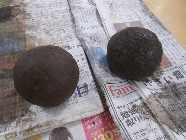 画像2: ポトスの苔玉づくり