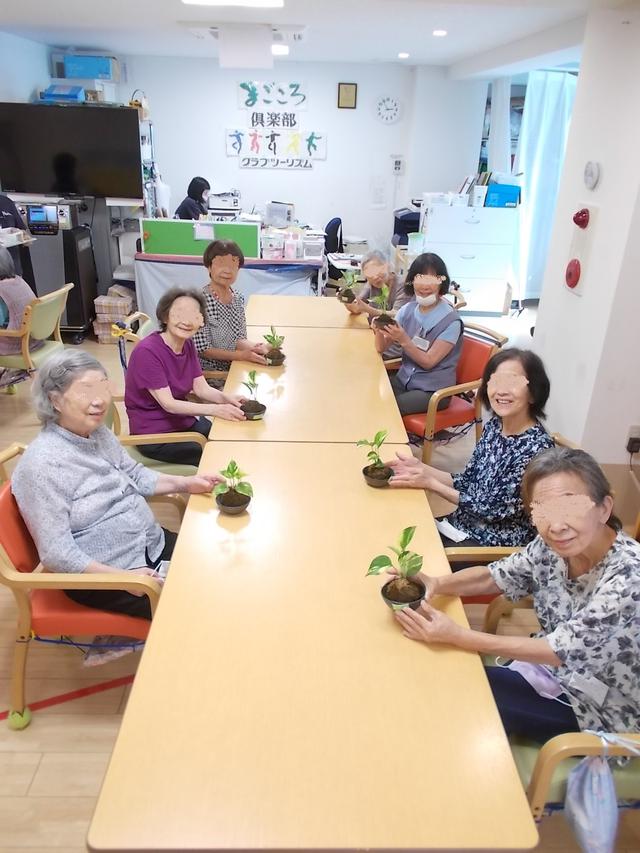 画像5: ポトスの苔玉づくり