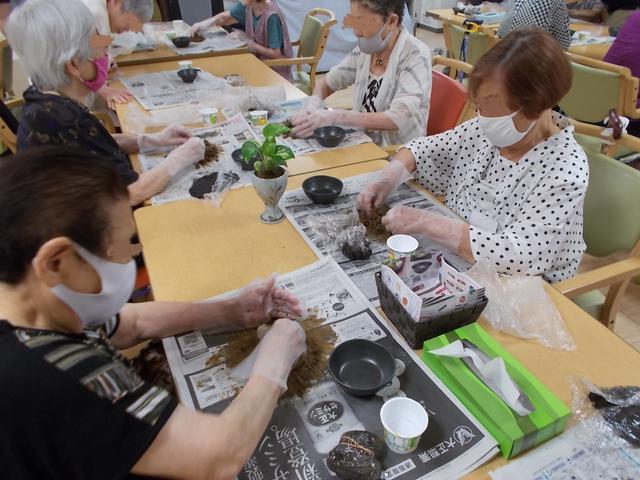 画像1: ポトスの苔玉づくり