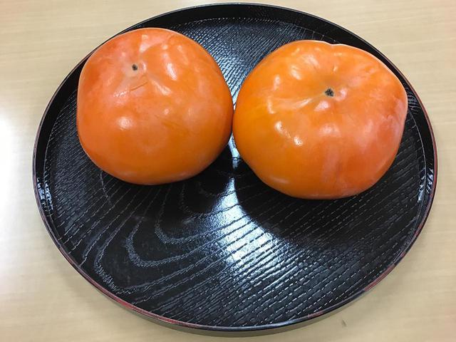 画像3: 夢旅行 岐阜県への旅