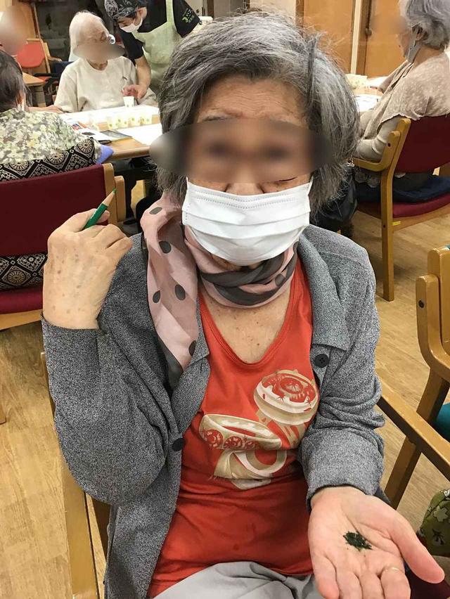 画像7: 夢旅行「静岡県」