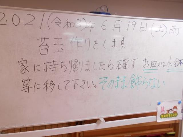 画像1: まごころ俱楽部高井戸 手工芸「苔玉づくり」