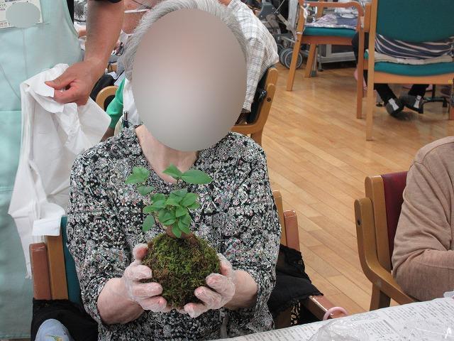 画像7: 苔玉作り