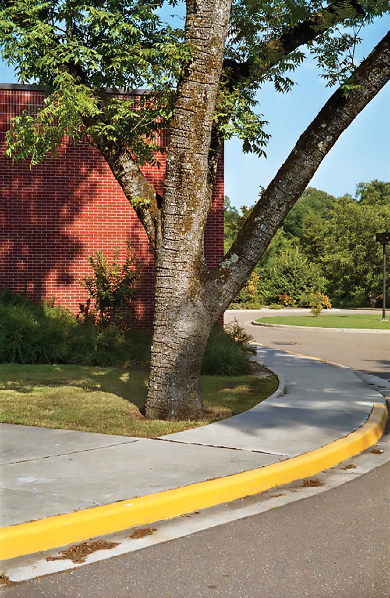 11/13迄値引　William Eggleston FOR NOW 訳あり新品 FOR NOW by William Eggleston（ウィリアム・エグルストン