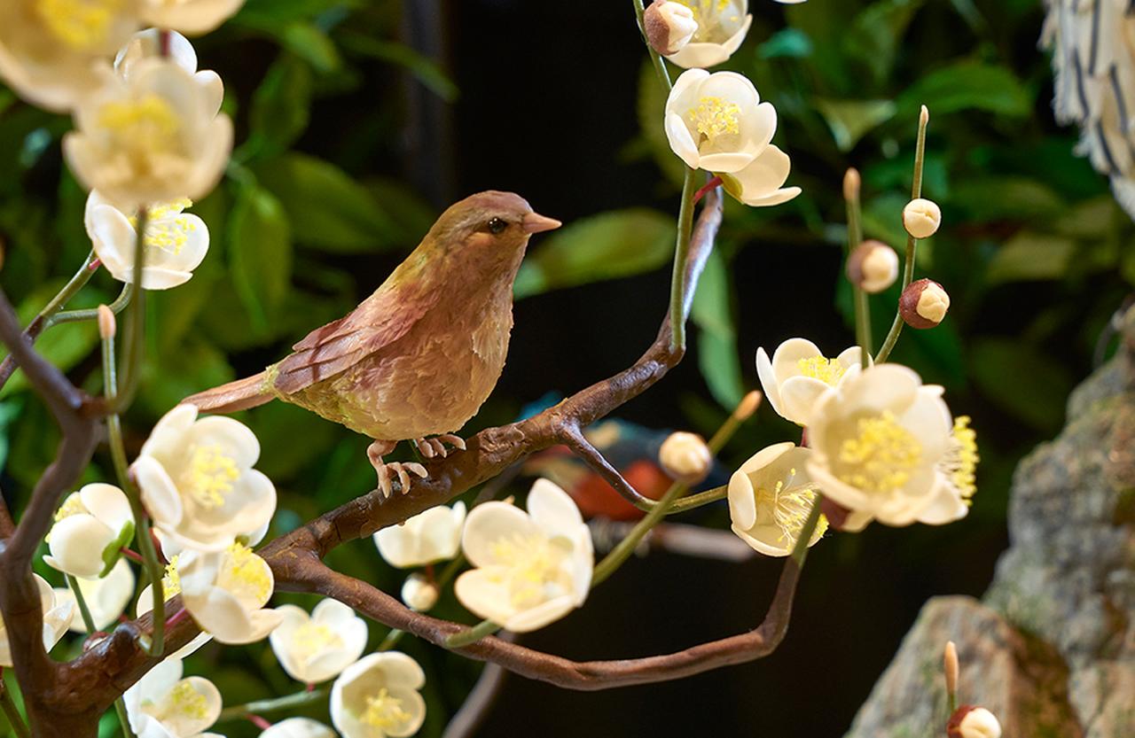 宗家 源 吉兆庵 銀座本店」で 出合う伝統工芸菓子の妙なる世界 (1/1