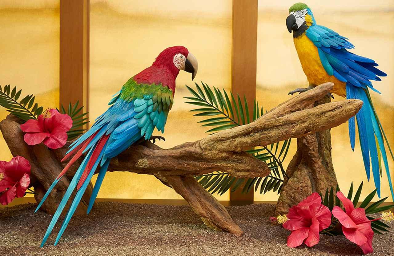 宗家 源 吉兆庵 銀座本店」で 出合う伝統工芸菓子の妙なる世界 (1/1